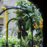 马克西姆斯马戏团住宿加早餐旅馆 住宿加早餐酒店 罗马