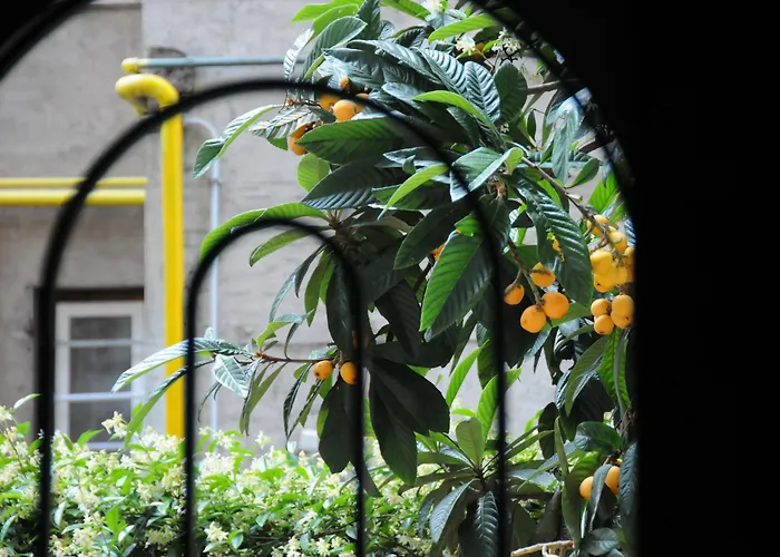 Circus Maximus Bed & Breakfast Rome